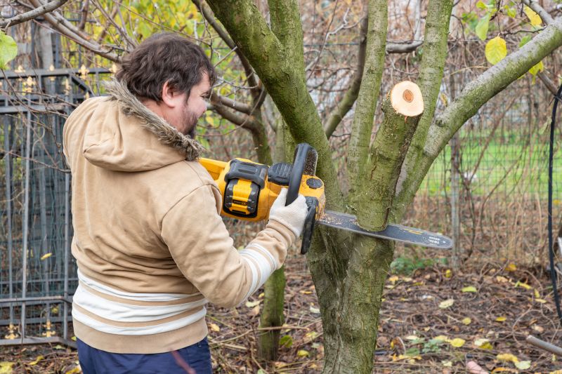 Seasonal Tree Work